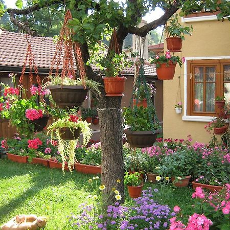Guest House Bashtina Striaha Koprivchtitsa Extérieur photo