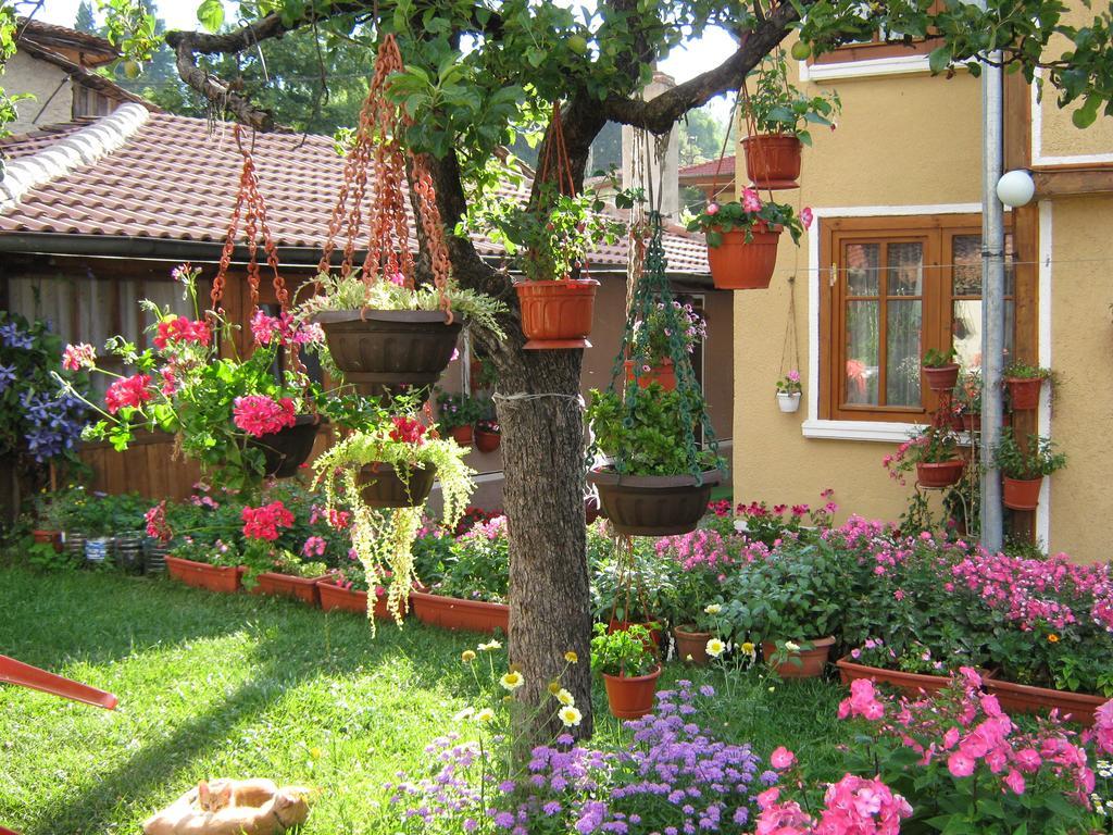 Guest House Bashtina Striaha Koprivchtitsa Extérieur photo